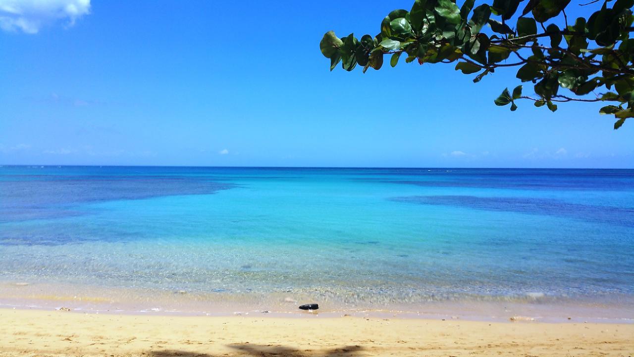 Aligio Apart-Hotel & Spa - Las Terrenas Eksteriør billede